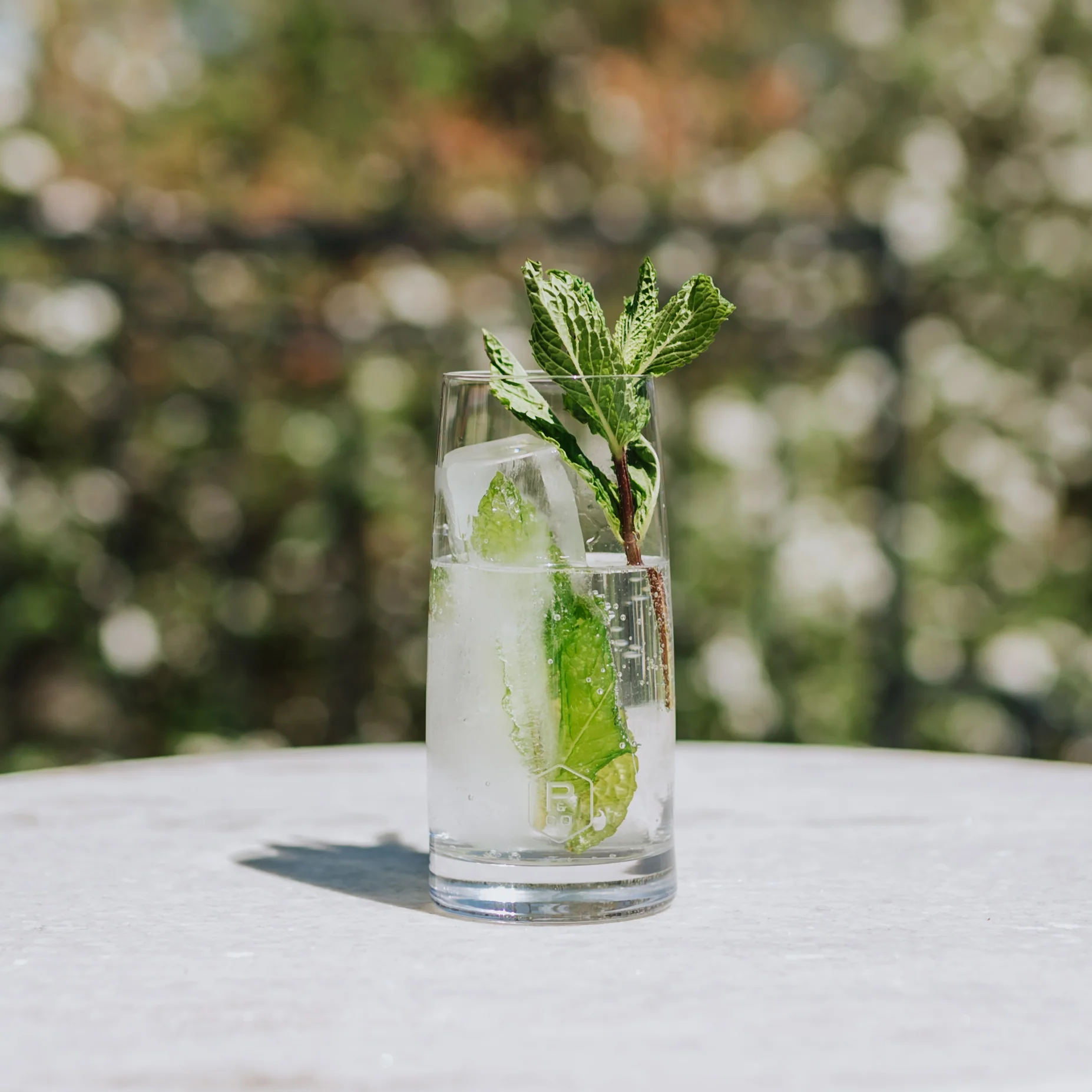 Peak Collins Ice Tray - Image 6